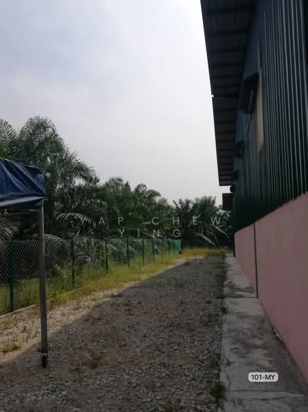 Agricultural Land for Sale in Assam Jawa (Kuala Selangor) - Yap Chew Ying - PropertyGuru.com.my