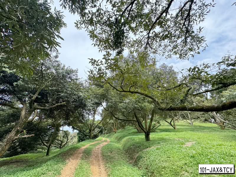 Tanah Pertanian untuk Dijual di Bandar Tras (Raub) - Yap Chew Ying - PropertyGuru.com.my