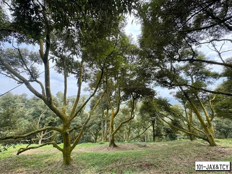 Tanah Pertanian untuk Dijual di Bandar Tras (Raub) - Yap Chew Ying - PropertyGuru.com.my