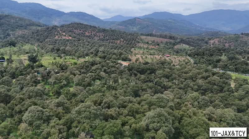 Tanah Pertanian untuk Dijual di Bandar Tras (Raub) - Yap Chew Ying - PropertyGuru.com.my