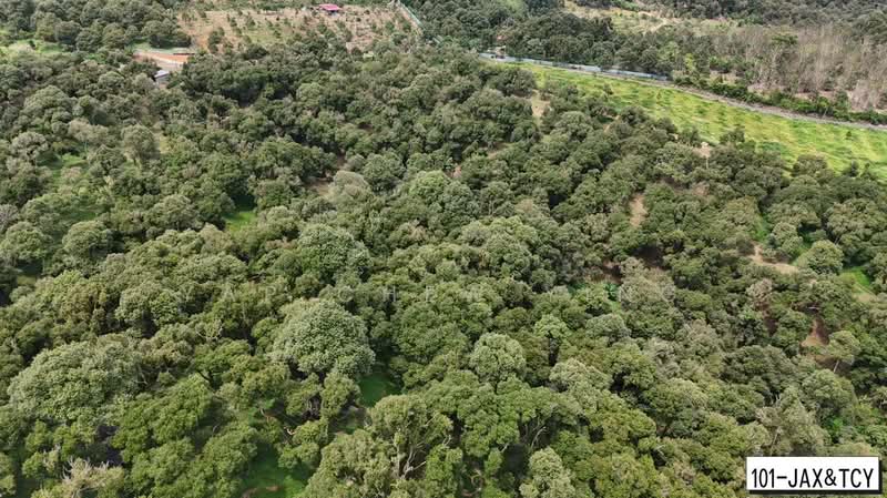 Tanah Pertanian untuk Dijual di Bandar Tras (Raub) - Yap Chew Ying - PropertyGuru.com.my