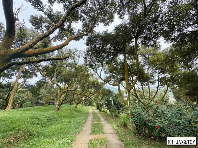 Tanah Pertanian untuk Dijual di Bandar Tras (Raub) - Yap Chew Ying - PropertyGuru.com.my