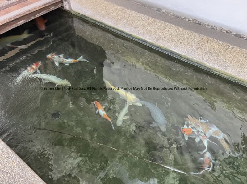2-storey Terraced House for Sale in Seksyen 11 (Kota Damansara) - Esther Lim - Garden - PropertyGuru.com.my