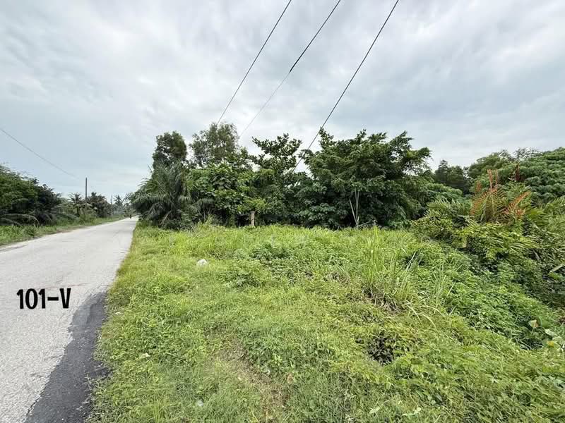 Industrial Land for Sale in Teluk Gong (Port Klang (Pelabuhan Klang)) - Yap Chew Ying - PropertyGuru.com.my