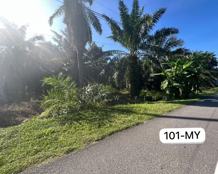 Tanah Pertanian untuk Dijual di Sungai Pelek (Sepang) - Yap Chew Ying - PropertyGuru.com.my