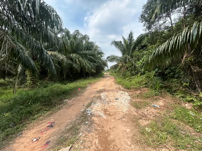 Tanah Pertanian untuk Dijual di Taman Sijangkang Jaya (Telok Panglima Garang) - Ben Lor - PropertyGuru.com.my