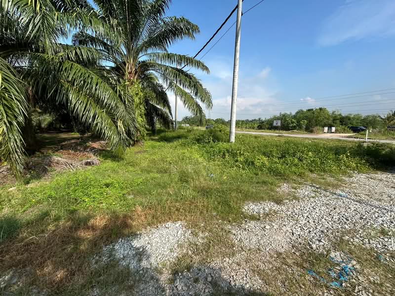 Tanah Pertanian untuk Dijual di Taman Sijangkang Jaya (Telok Panglima Garang) - Ben Lor - PropertyGuru.com.my