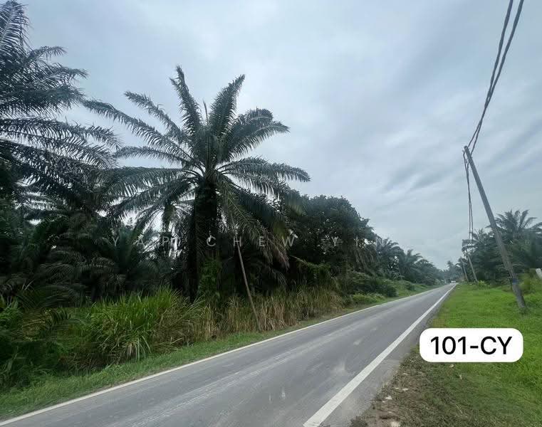 Agricultural Land for Rent in Taman Sijangkang Jaya (Telok Panglima Garang) - Yap Chew Ying - PropertyGuru.com.my