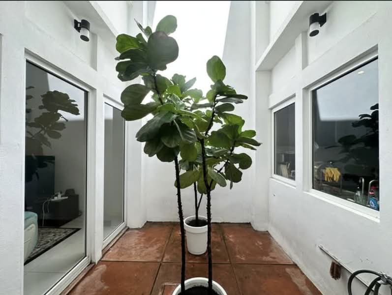 Rumah Teres 2.5 Tingkat untuk Dijual di Seri Tanjung Pinang (Tanjung Tokong) - Ping Koay - Exterior - PropertyGuru.com.my