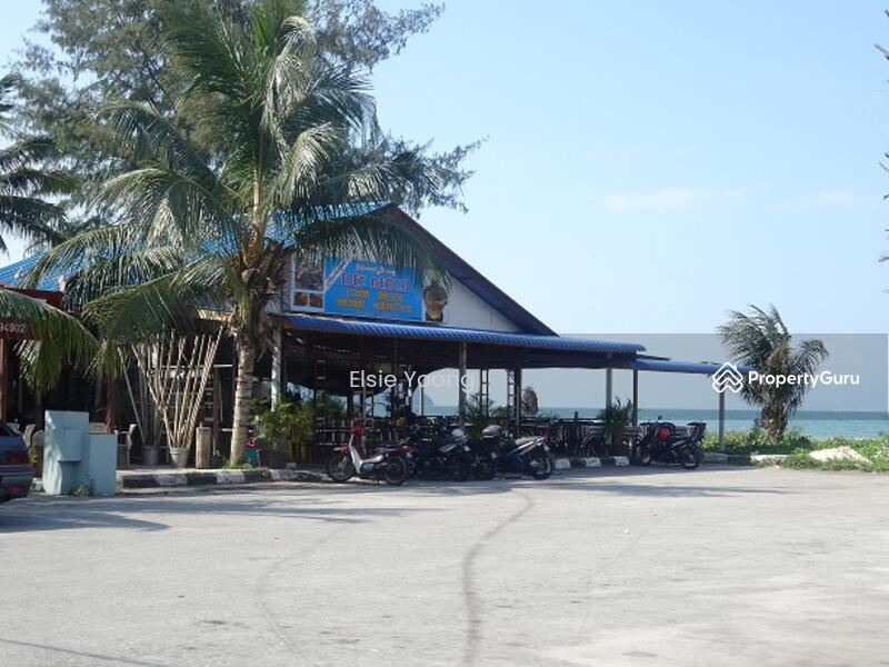 Agricultural Land for Sale in Mersing (Johor) - Elsie Yoong - PropertyGuru.com.my