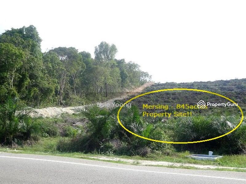 Agricultural Land for Sale in Mersing (Johor) - Elsie Yoong - PropertyGuru.com.my