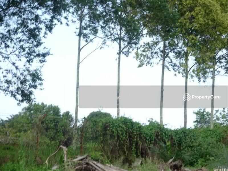 Agricultural Land for Sale in Mersing (Johor) - Elsie Yoong - PropertyGuru.com.my