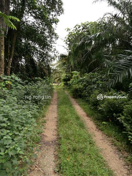 Tanah Pertanian untuk Disewa di Iskandar Puteri (Nusajaya) (Johor) - Ng Yong Lin - PropertyGuru.com.my