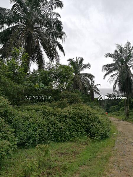 Tanah Pertanian untuk Disewa di Iskandar Puteri (Nusajaya) (Johor) - Ng Yong Lin - PropertyGuru.com.my