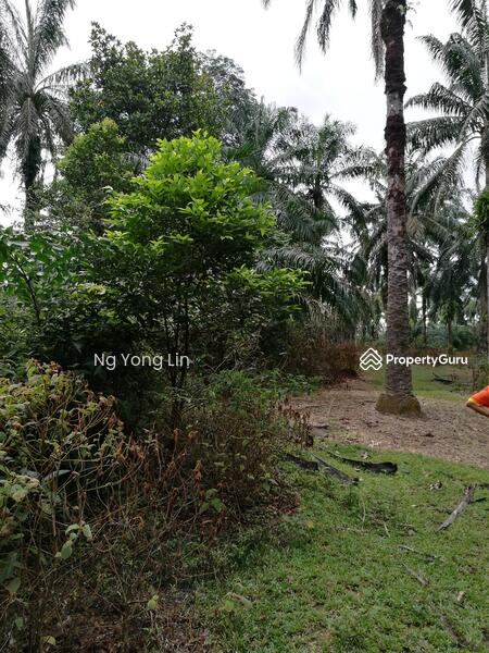 Tanah Pertanian untuk Disewa di Iskandar Puteri (Nusajaya) (Johor) - Ng Yong Lin - PropertyGuru.com.my