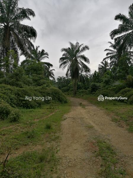 Tanah Pertanian untuk Disewa di Iskandar Puteri (Nusajaya) (Johor) - Ng Yong Lin - PropertyGuru.com.my