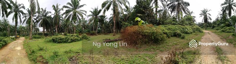 Tanah Pertanian untuk Disewa di Iskandar Puteri (Nusajaya) (Johor) - Ng Yong Lin - PropertyGuru.com.my