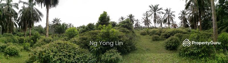 Tanah Pertanian untuk Disewa di Iskandar Puteri (Nusajaya) (Johor) - Ng Yong Lin - PropertyGuru.com.my