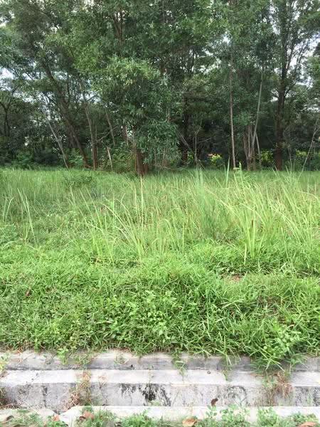 Residential Land for Sale in Kota Damansara (Selangor) - Peggy Yong - PropertyGuru.com.my