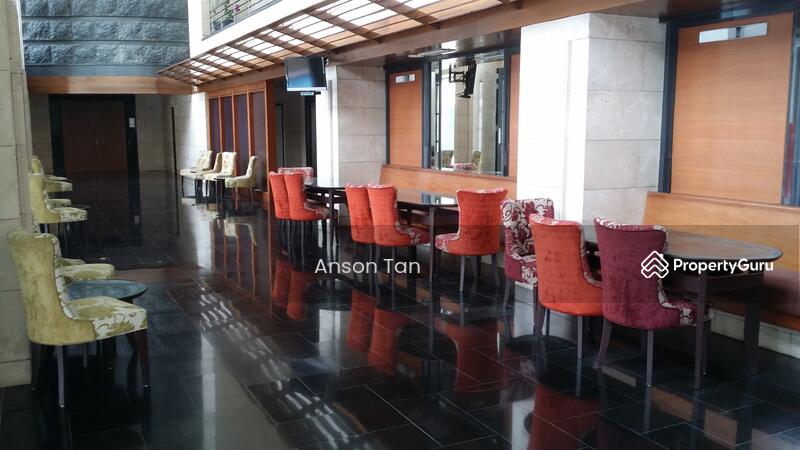 Condominium for Sale at The Binjai on the Park - Anson Tan - PropertyGuru.com.my