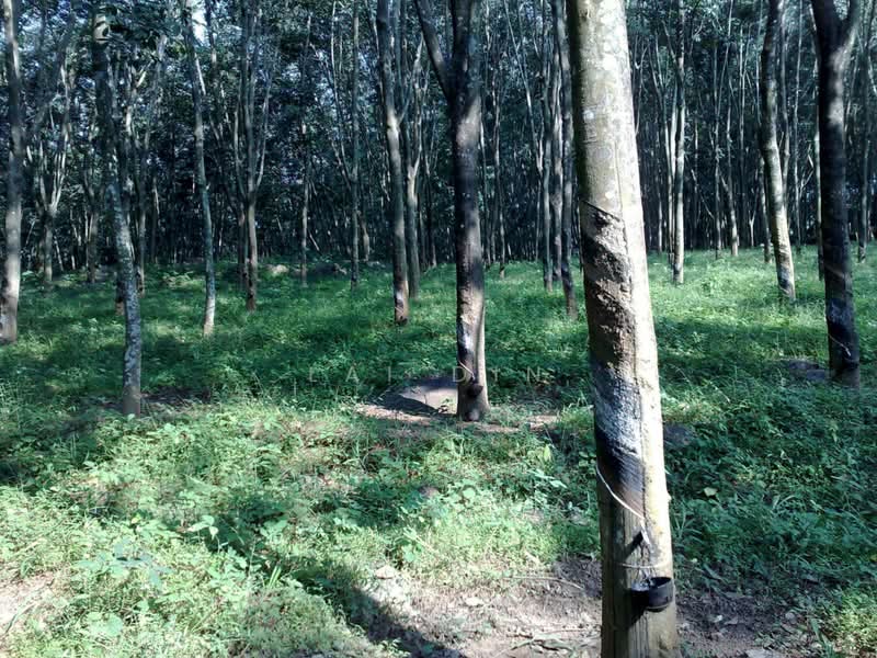 Tanah Pertanian untuk Dijual di Taman Jelebu (Kuala Klawang) - Lai Din - PropertyGuru.com.my