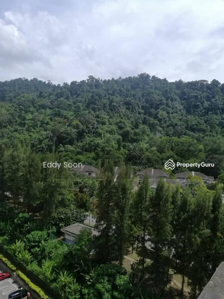 Kondominium untuk Disewa di Oakleaf Park - Eddy . - PropertyGuru.com.my