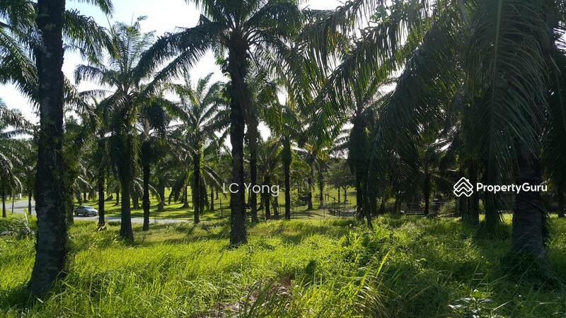 Tanah Kediaman untuk Dijual di Pengerang (Johor) - LC Yong - PropertyGuru.com.my