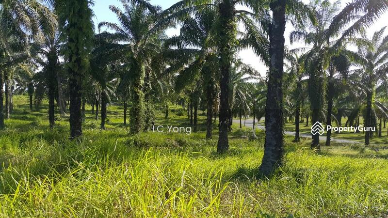 Tanah Kediaman untuk Dijual di Pengerang (Johor) - LC Yong - PropertyGuru.com.my