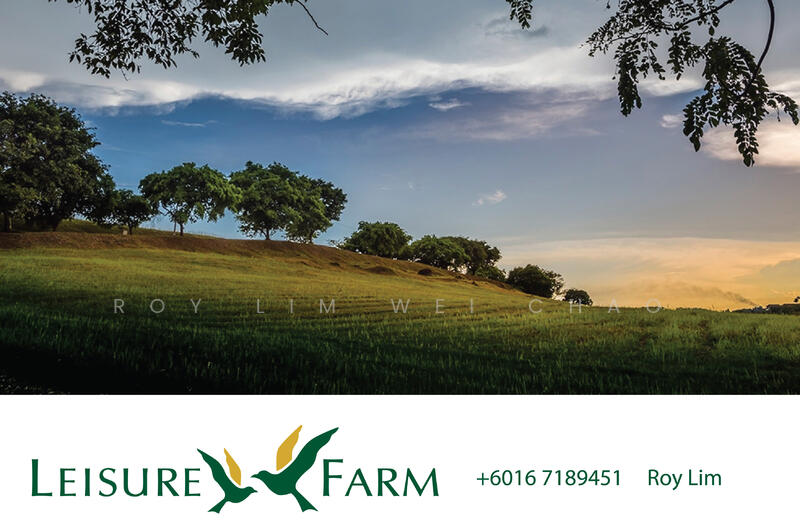 Residential Land for Sale in Leisure Farm (Gelang Patah) - Roy Lim Wei Chao - PropertyGuru.com.my