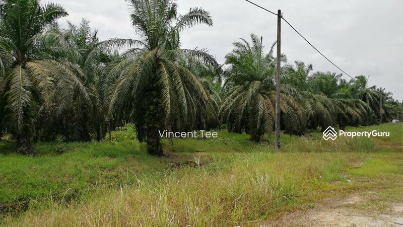 For Sale - 10Acres Main Road Zoned Residential Raja Musa Batang Berjuntai Ijok