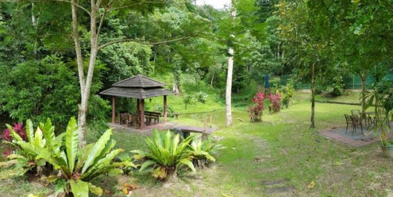 Agricultural Land for Sale in Kampung Sungai Penchala (Sungai Penchala) - Jik Wafa - PropertyGuru.com.my