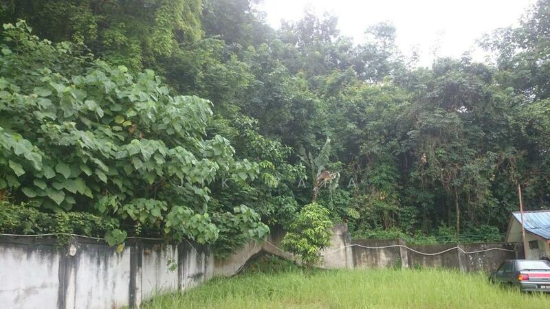 Agricultural Land for Sale in Kampung Sungai Penchala (Sungai Penchala) - Jik Wafa - PropertyGuru.com.my