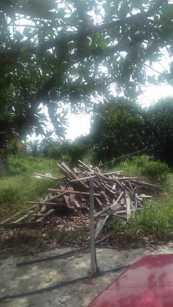 Agricultural Land for Sale in Kampung Sungai Penchala (Sungai Penchala) - Jik Wafa - PropertyGuru.com.my
