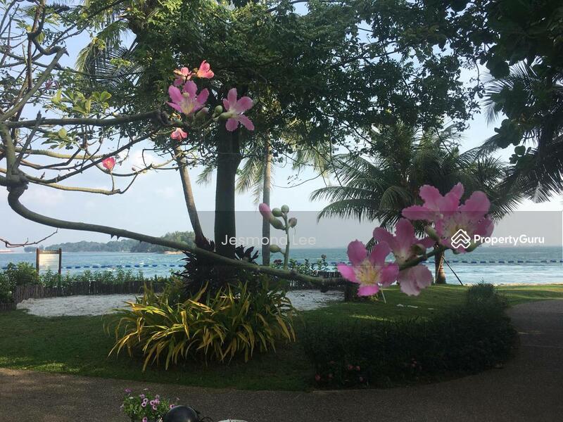 For Rent - Senibong Cove Isola Villa Wateredge Grandeur Mansion Lagoon Hills Residence Straits View