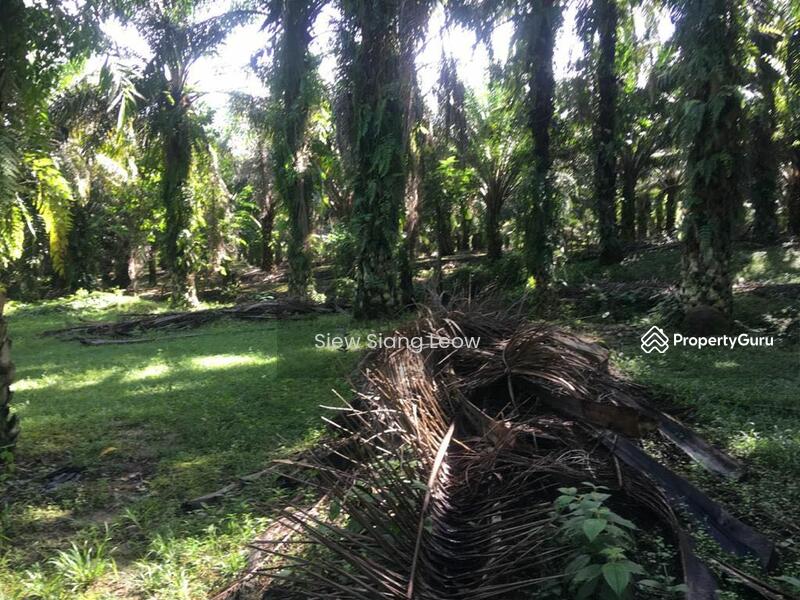 For Sale - Chenderiang, Perak