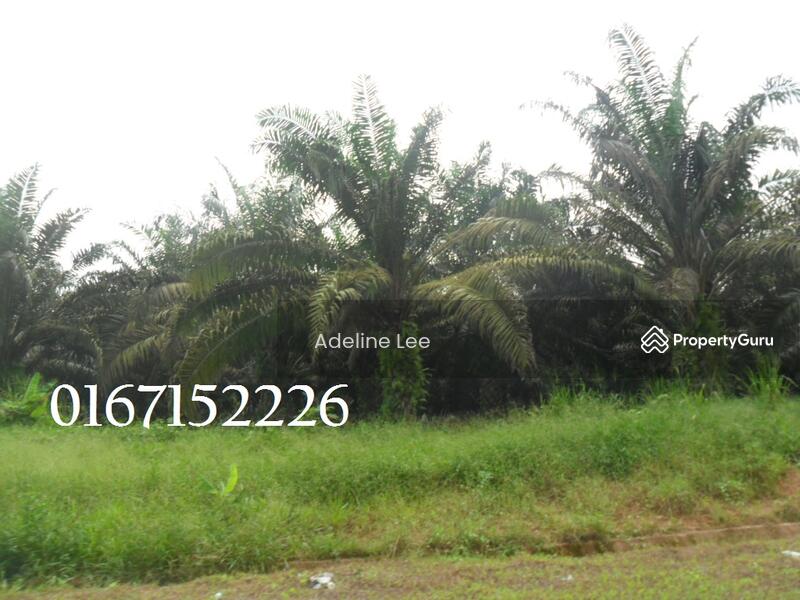 Seelong Agriculture Land Senai Kulai Johor Agricultural Lands For Sale By Adeline Lee Rm 3 600 000 27312350