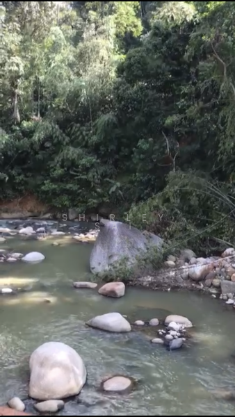 Agricultural Land for Sale in Bukit Tinggi (Bentong) - Shirley Sai - PropertyGuru.com.my