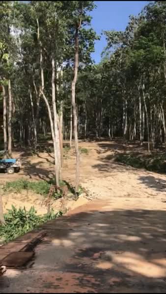 Agricultural Land for Sale in Bukit Tinggi (Bentong) - Shirley Sai - PropertyGuru.com.my