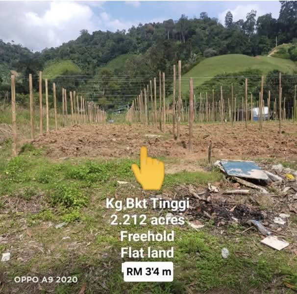 Agricultural Land for Sale in Bukit Tinggi (Bentong) - Shirley Sai - PropertyGuru.com.my