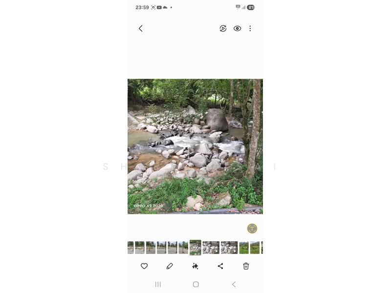 Agricultural Land for Sale in Bukit Tinggi (Bentong) - Shirley Sai - PropertyGuru.com.my
