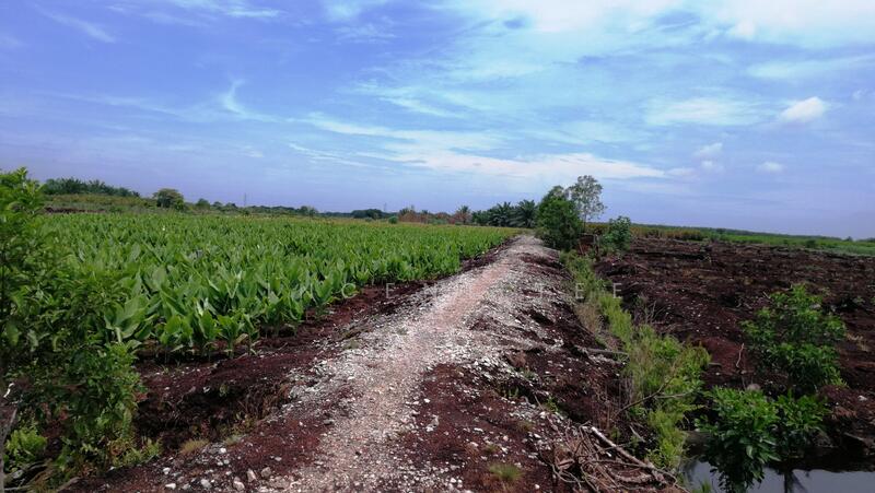 Agricultural Land for Sale in Taman Johan Setia (Klang) - Vincent Tee - PropertyGuru.com.my