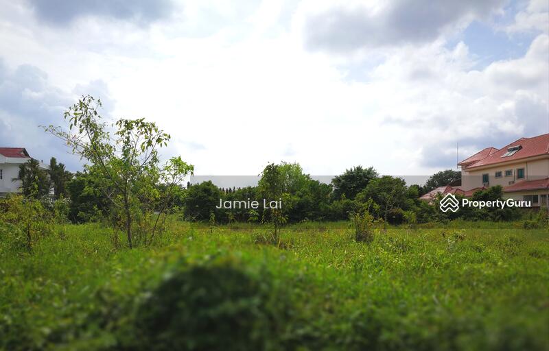 Untuk Dijual - Tiger Lane