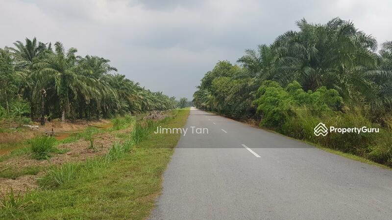 Untuk Dijual - Ijok FREEHOLD industrial Land
