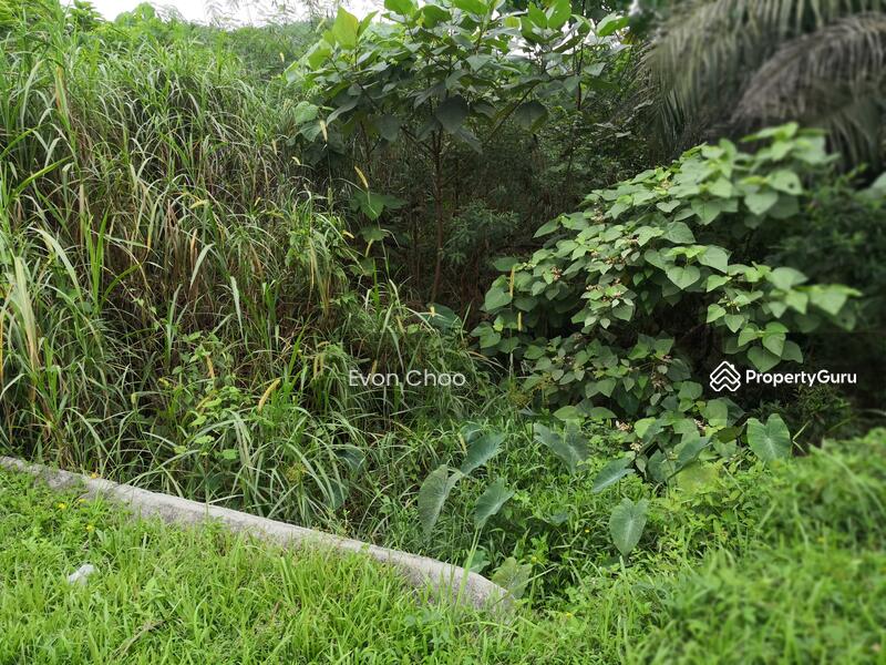 Tanah Perindustrian untuk Dijual di Mantin (Negeri Sembilan) - Evon Choo - PropertyGuru.com.my