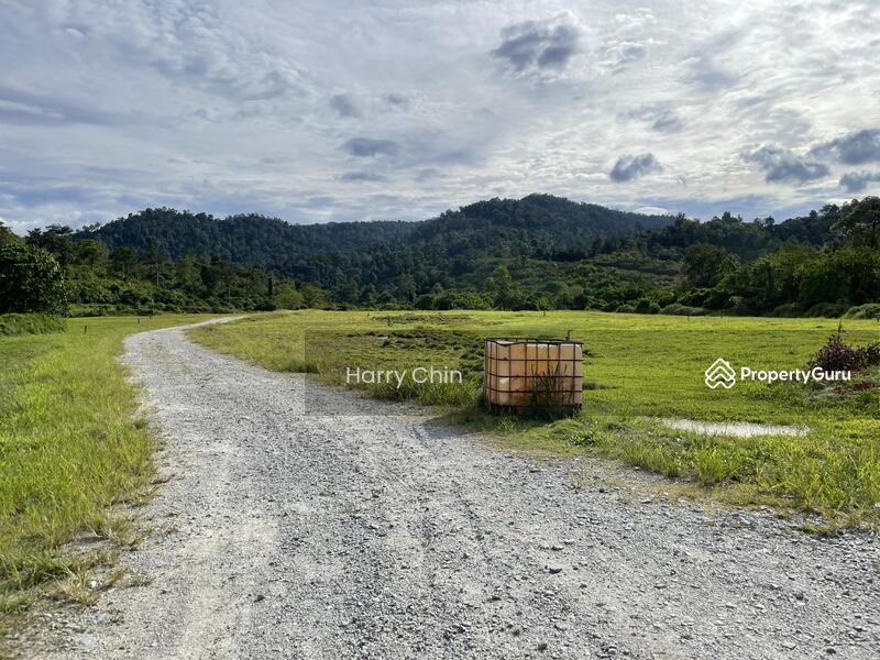 For Sale - Multipurpose Rainforests Agri land(Plantation,camping,weekend Home,Sporting)