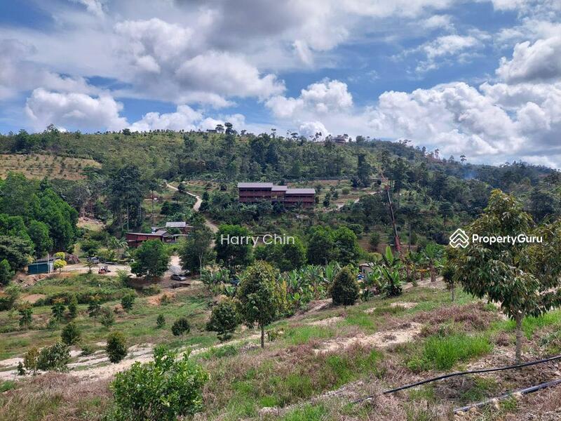 For Sale - Multipurpose Rainforests Agri land(Plantation,camping,weekend Home,Sporting)