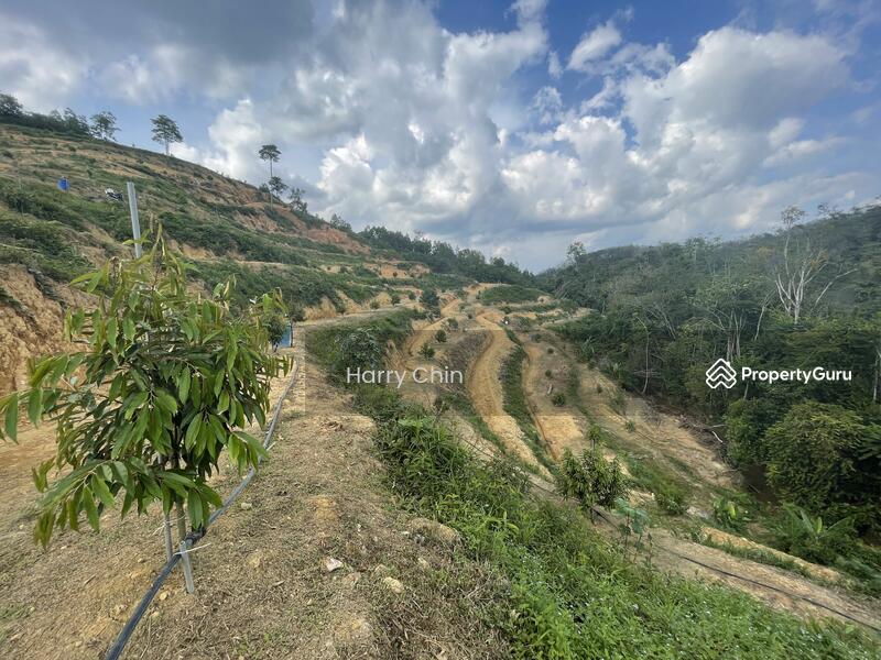 For Sale - Multipurpose Rainforests Agri land(Plantation,camping,weekend Home,Sporting)