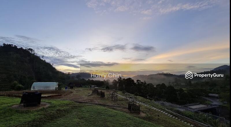 For Sale - Multipurpose Rainforests Agri land(Plantation,camping,weekend Home,Sporting)