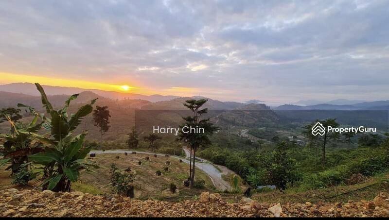 For Sale - Multipurpose Rainforests Agri land(Plantation,camping,weekend Home,Sporting)