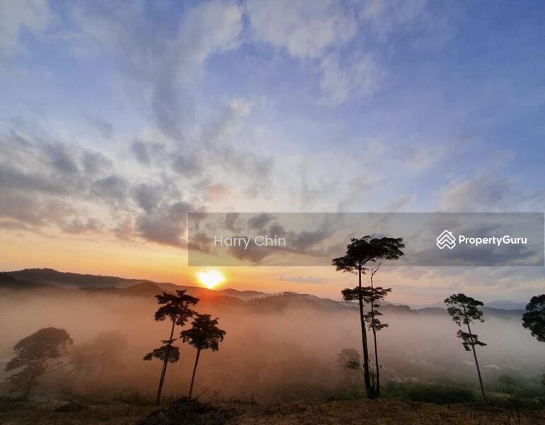 For Sale - Multipurpose Rainforests Agri land(Plantation,camping,weekend Home,Sporting)